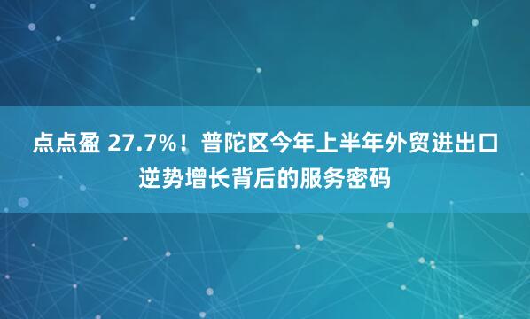 点点盈 27.7%！普陀区今年上半年外贸进出口逆势增长背后的服务密码