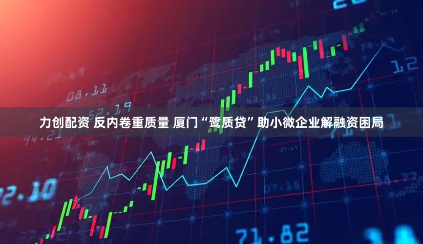 力创配资 反内卷重质量 厦门“鹭质贷”助小微企业解融资困局