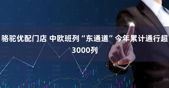 骆驼优配门店 中欧班列“东通道”今年累计通行超3000列