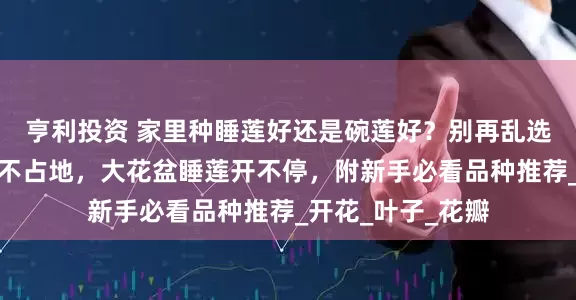 亨利投资 家里种睡莲好还是碗莲好？别再乱选！小阳台选碗莲不占地，大花盆睡莲开不停，附新手必看品种推荐_开花_叶子_花瓣
