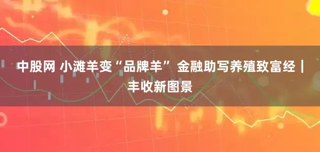 中股网 小滩羊变“品牌羊” 金融助写养殖致富经｜丰收新图景