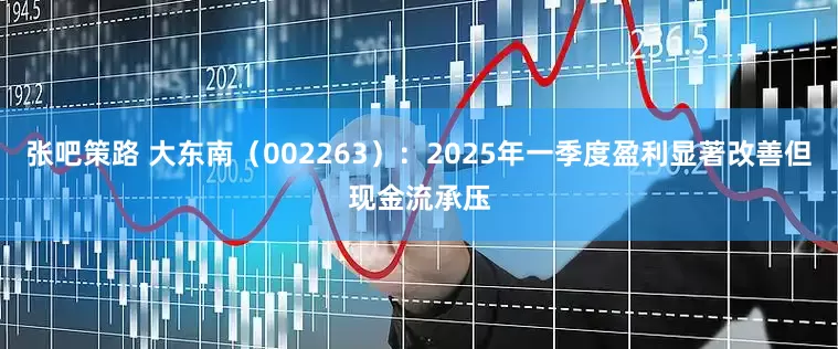 张吧策路 大东南（002263）：2025年一季度盈利显著改善但现金流承压